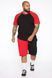 Мужской летний костюм Батал шорты и футболка большие размеры LT-00169 фото 1